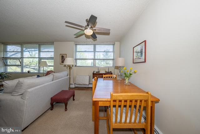 1030 E Lancaster Avenue #207 photo 23