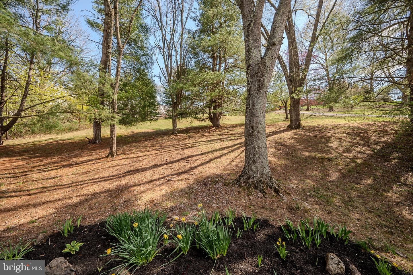 5 Hilloch Lane photo 72
