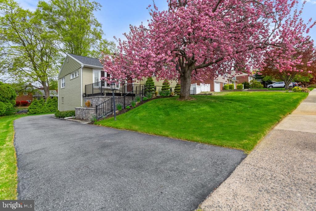 128 Locust Avenue photo 3