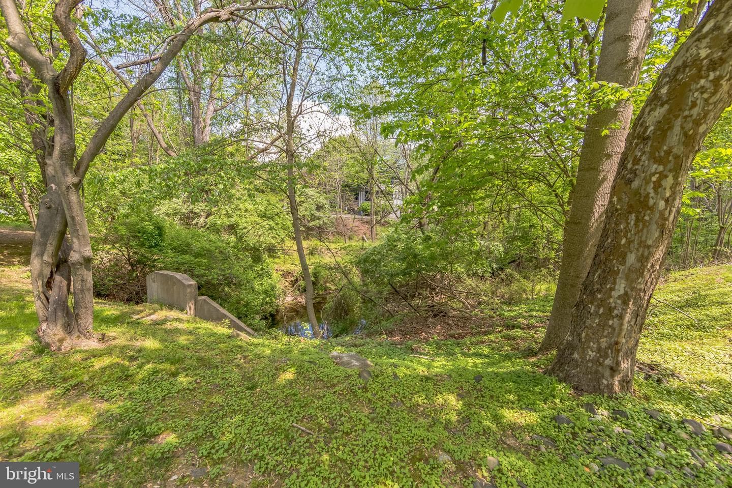 1244 Country Club Drive photo 35