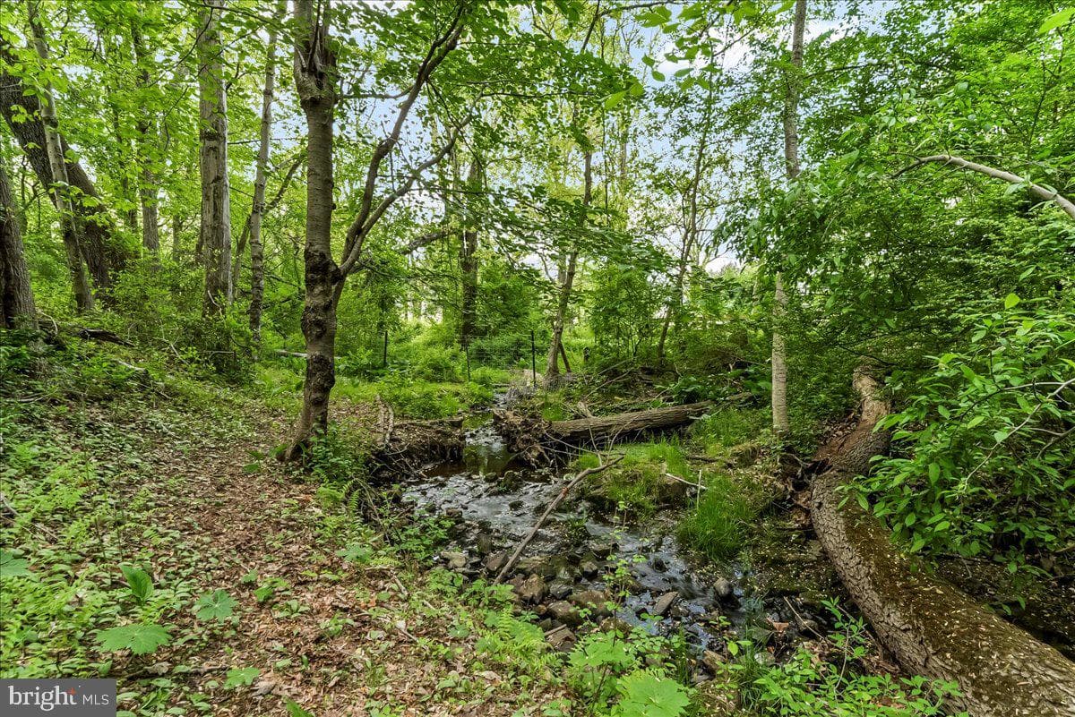37 Bolling Circle photo 32