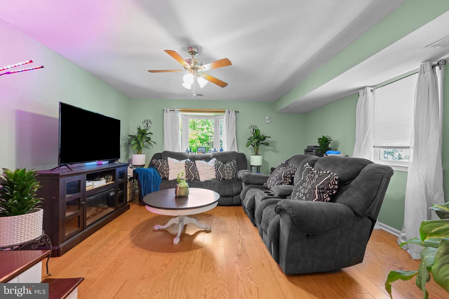 103 Ronaldson Street photo 13