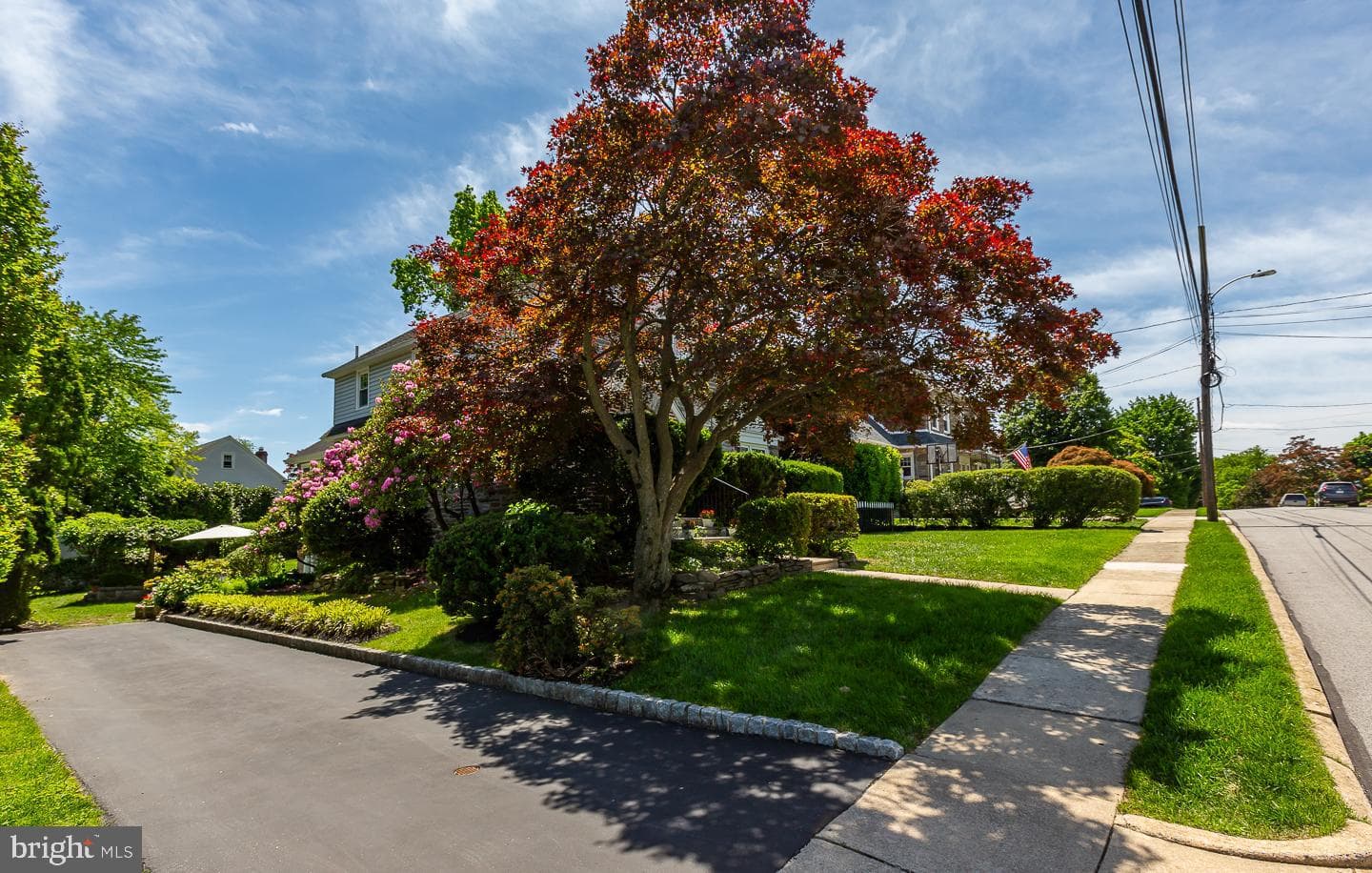 55 Lindbergh Avenue photo 4