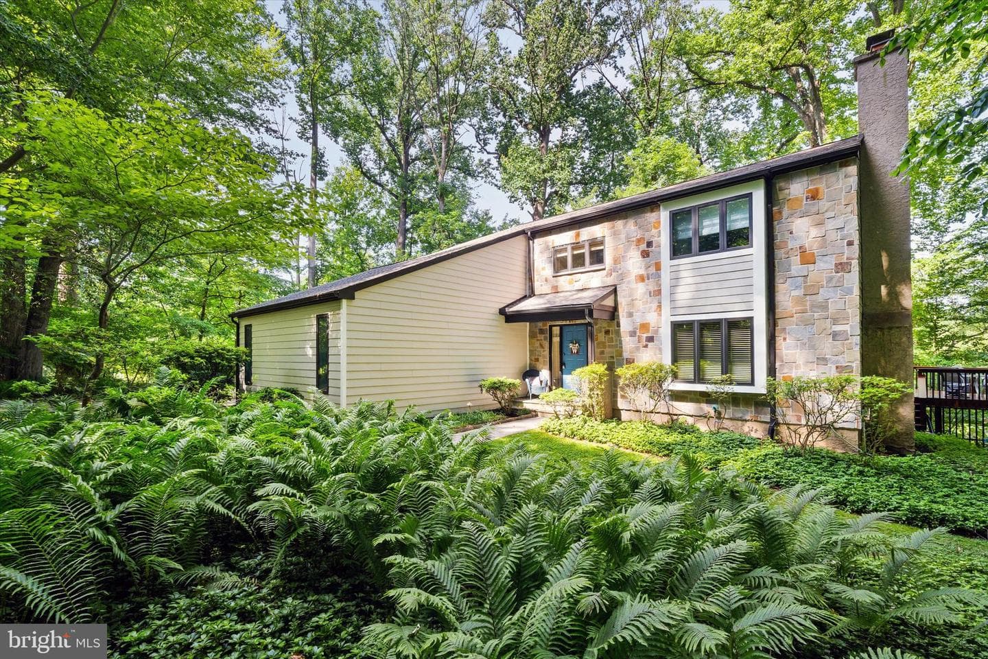 59 Carter Road photo 1