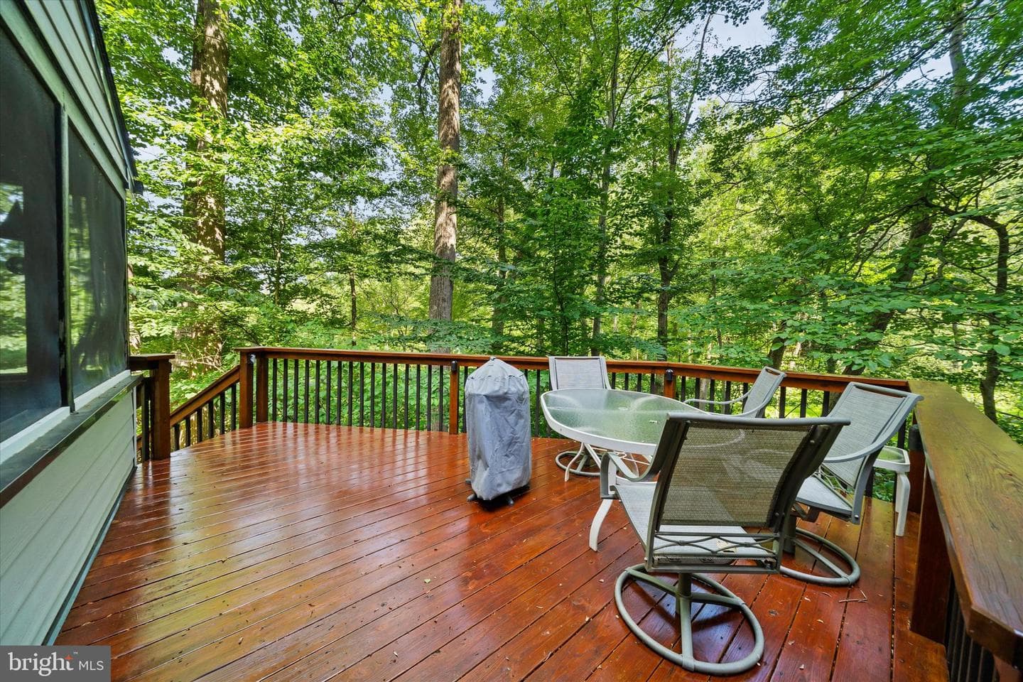 59 Carter Road photo 11