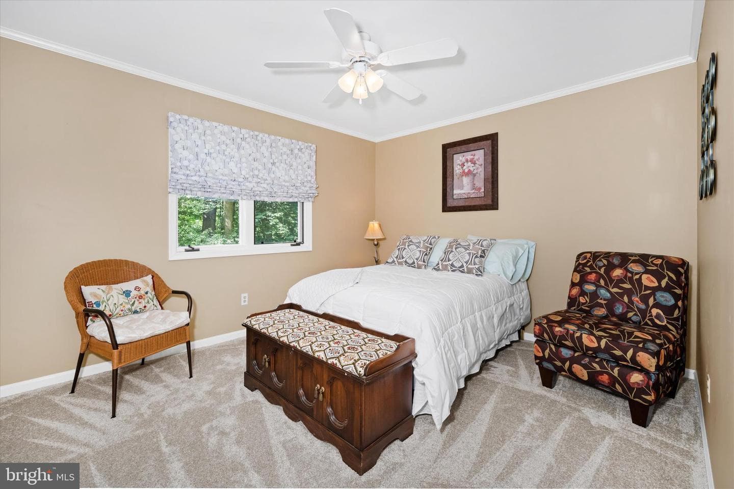 59 Carter Road photo 32