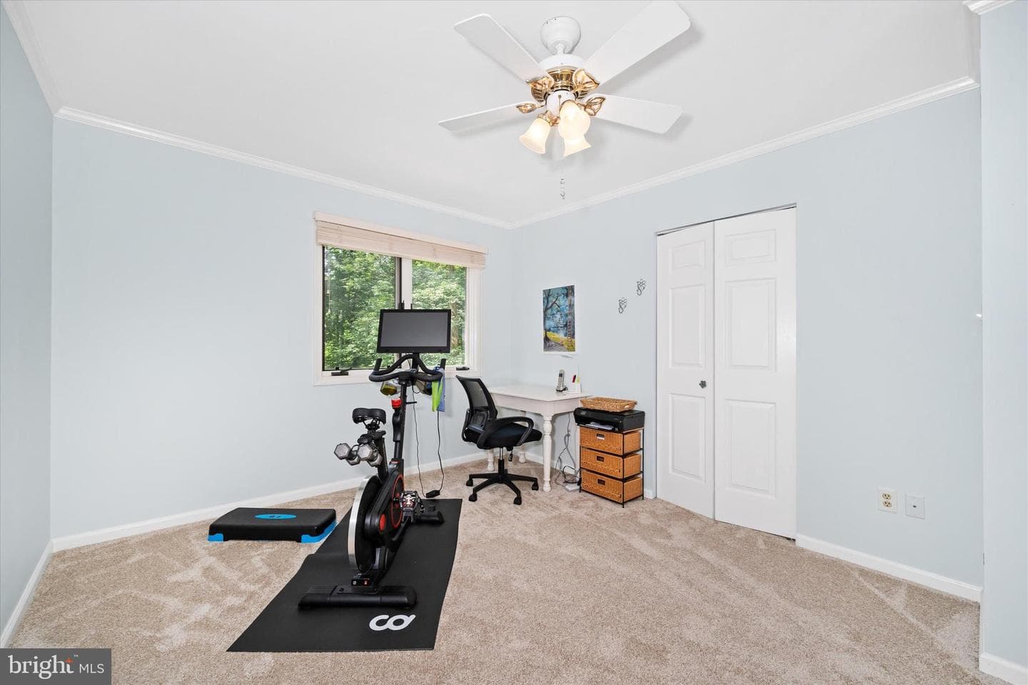 59 Carter Road photo 33