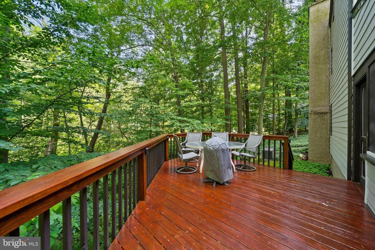 59 Carter Road photo 9