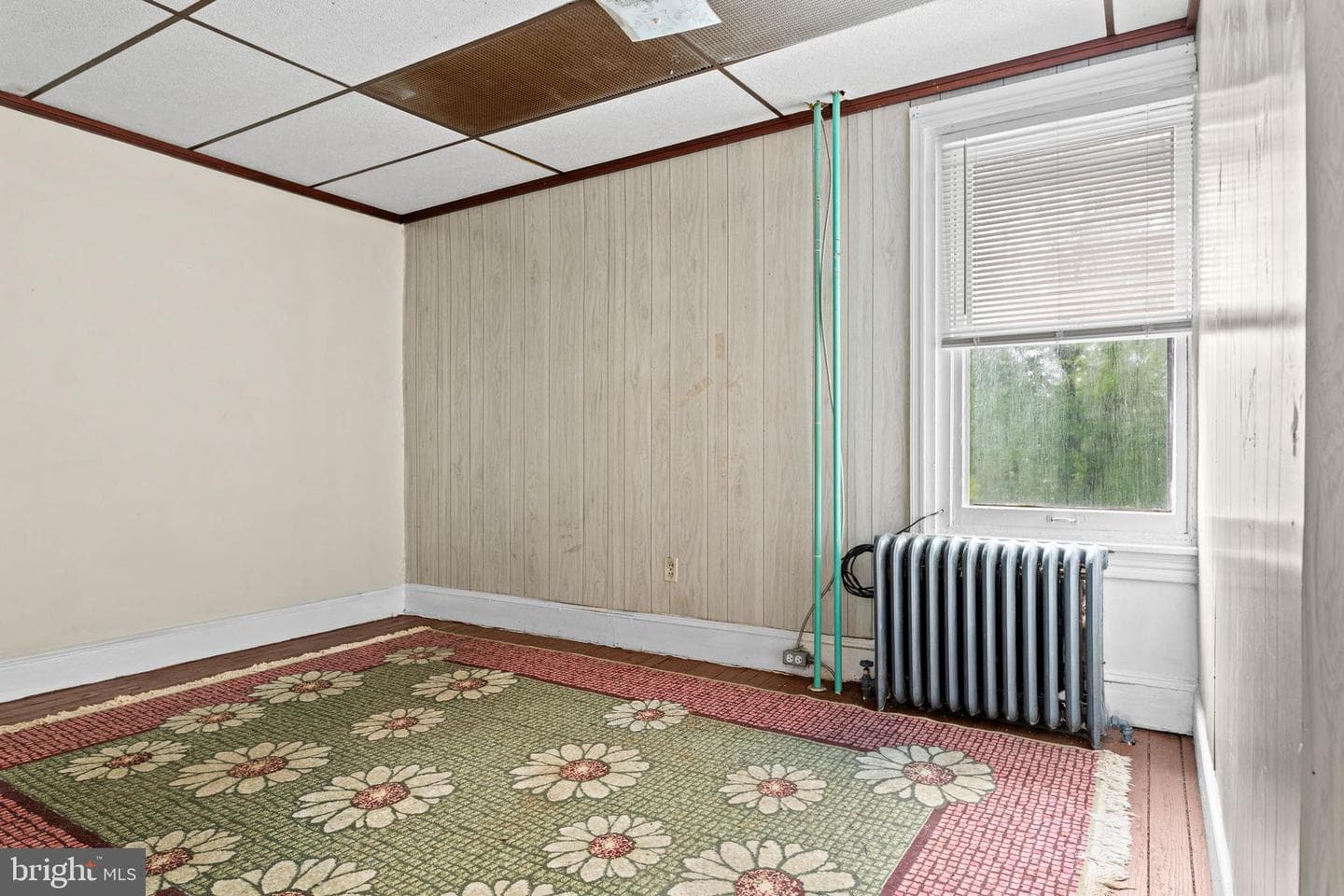 732 Buck Lane photo 12