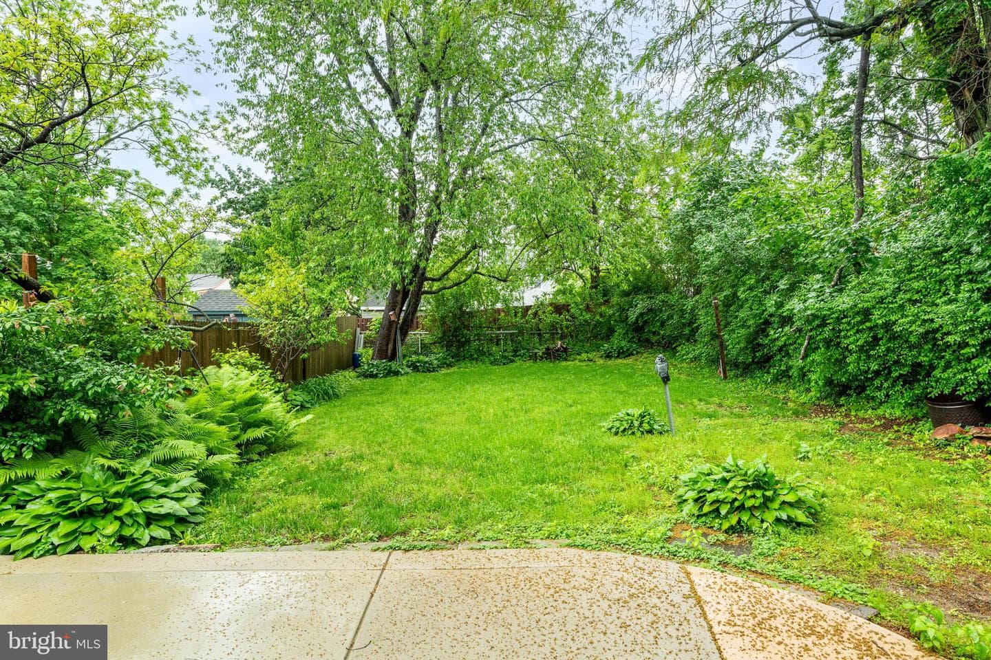 732 Buck Lane photo 22