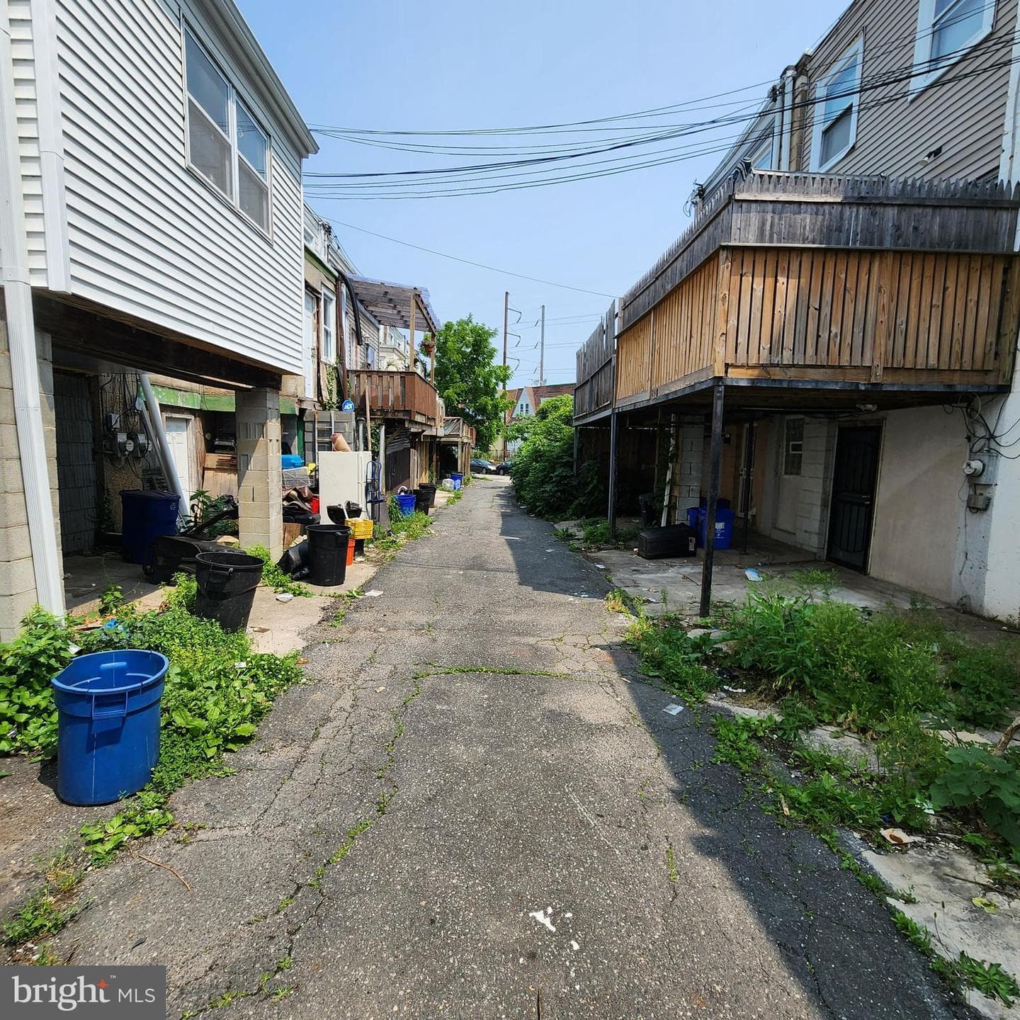254 Coverly Road photo 29