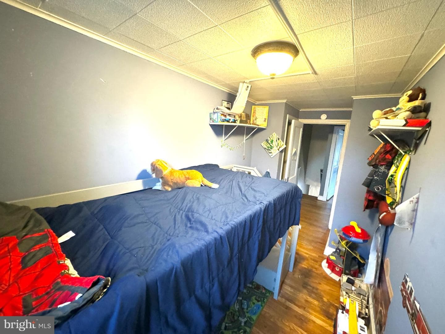218 Spruce Street photo 20