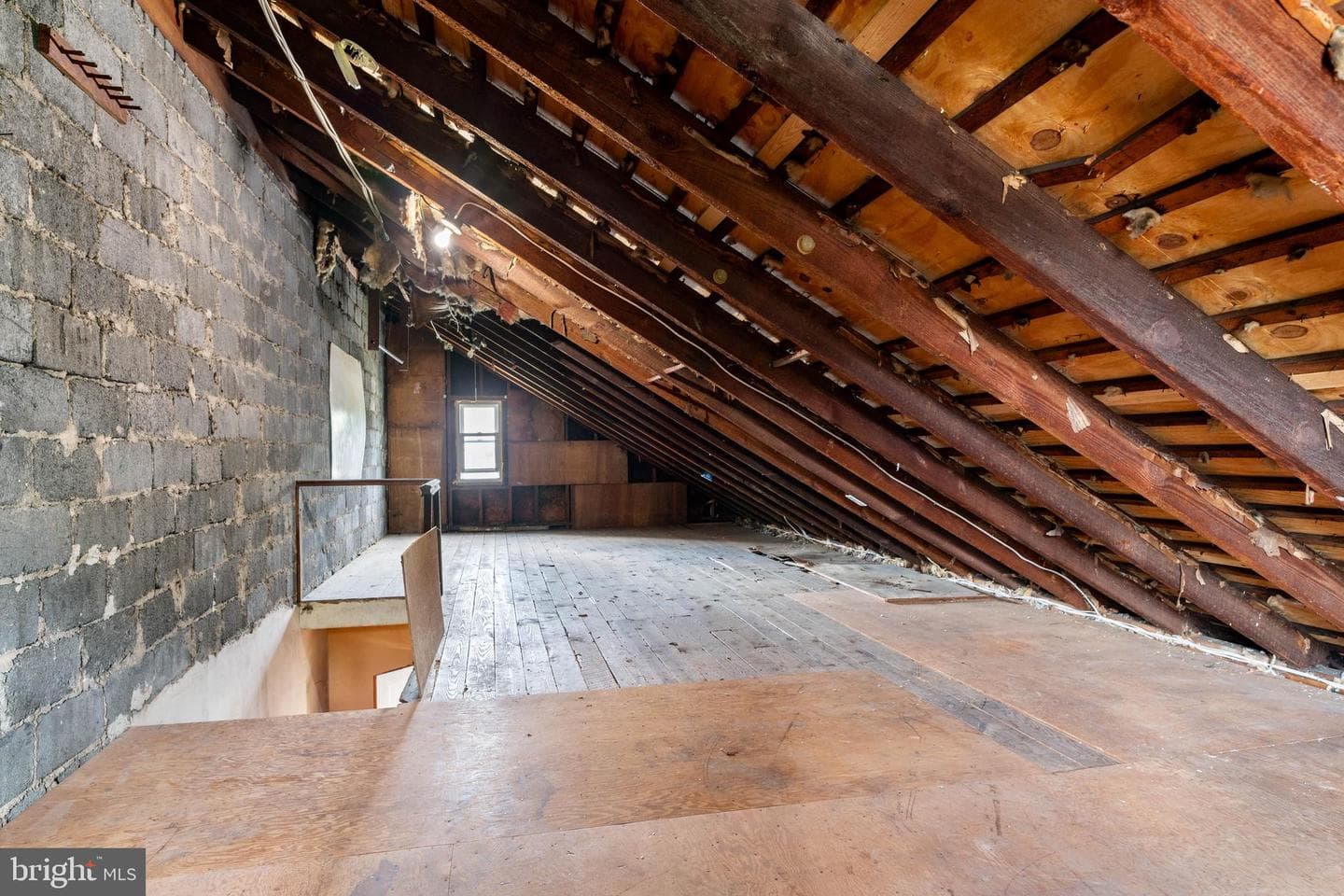 103 Campbell Avenue photo 22