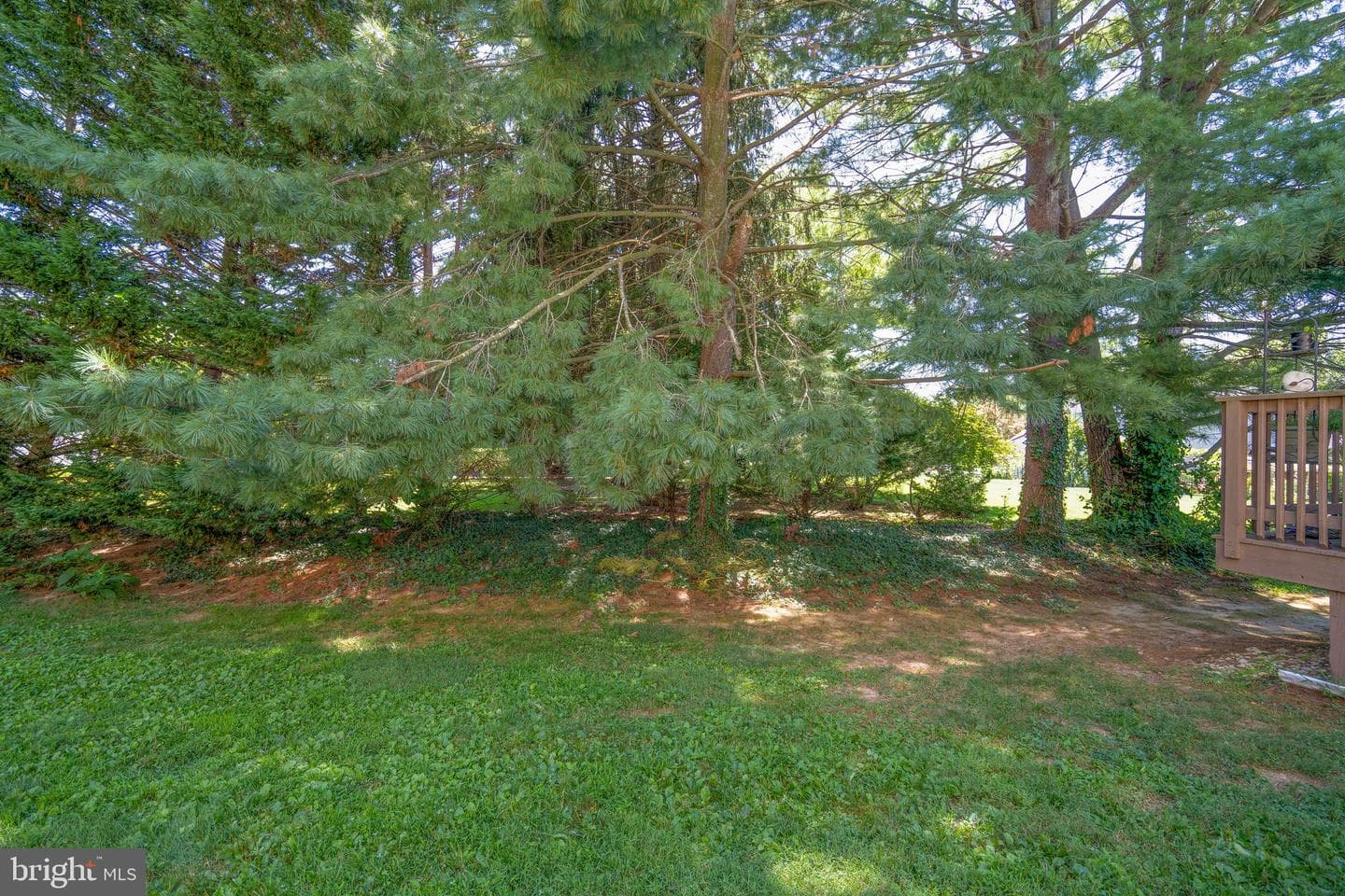 104 Bradbury Road photo 29