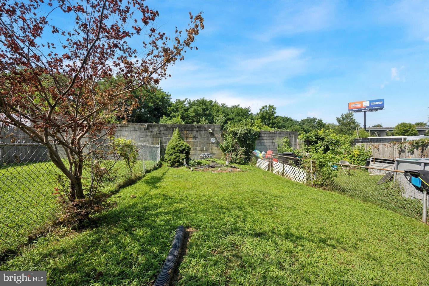 237 Randall Street photo 21