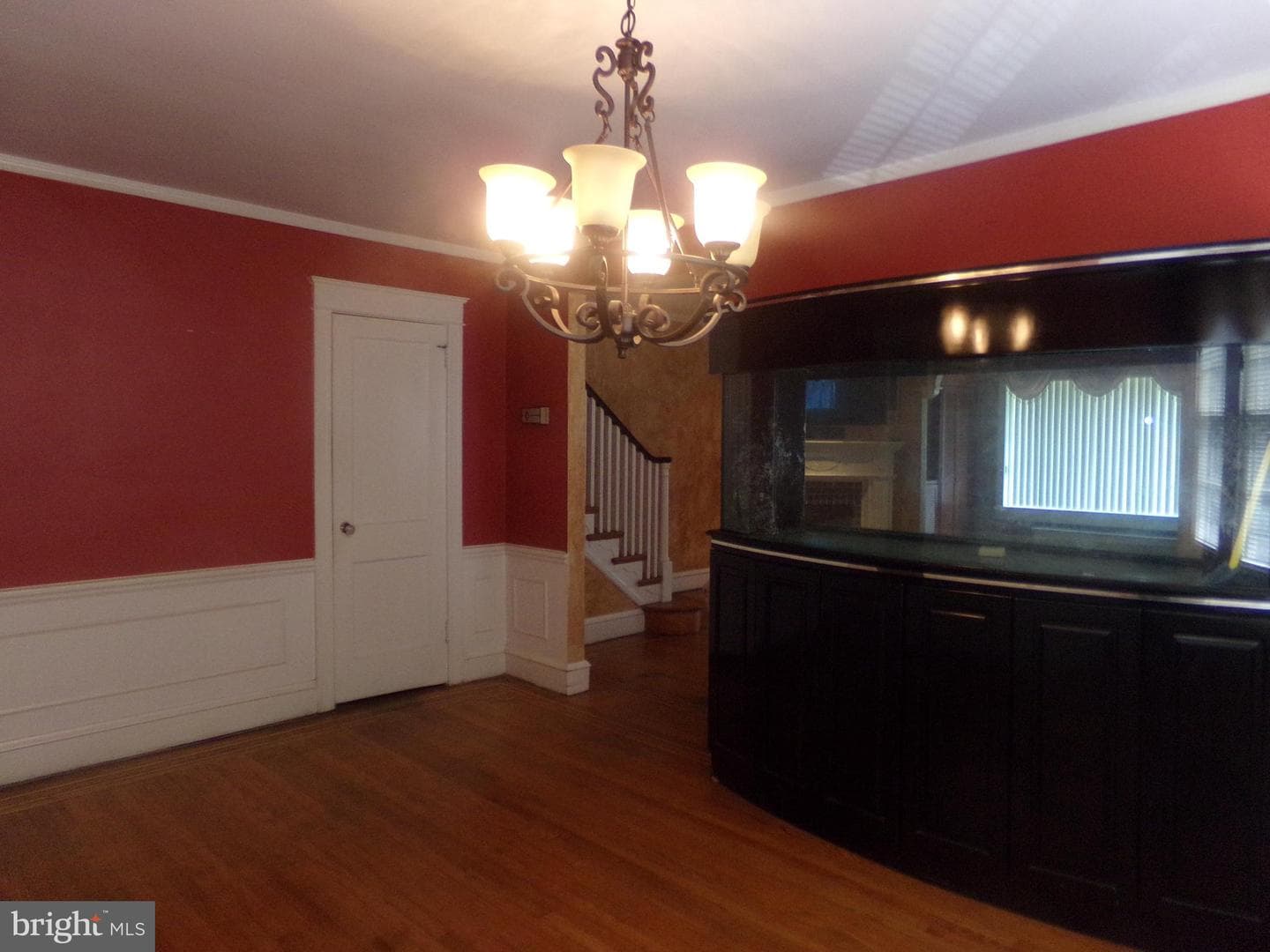 157 W Plumstead Avenue photo 14