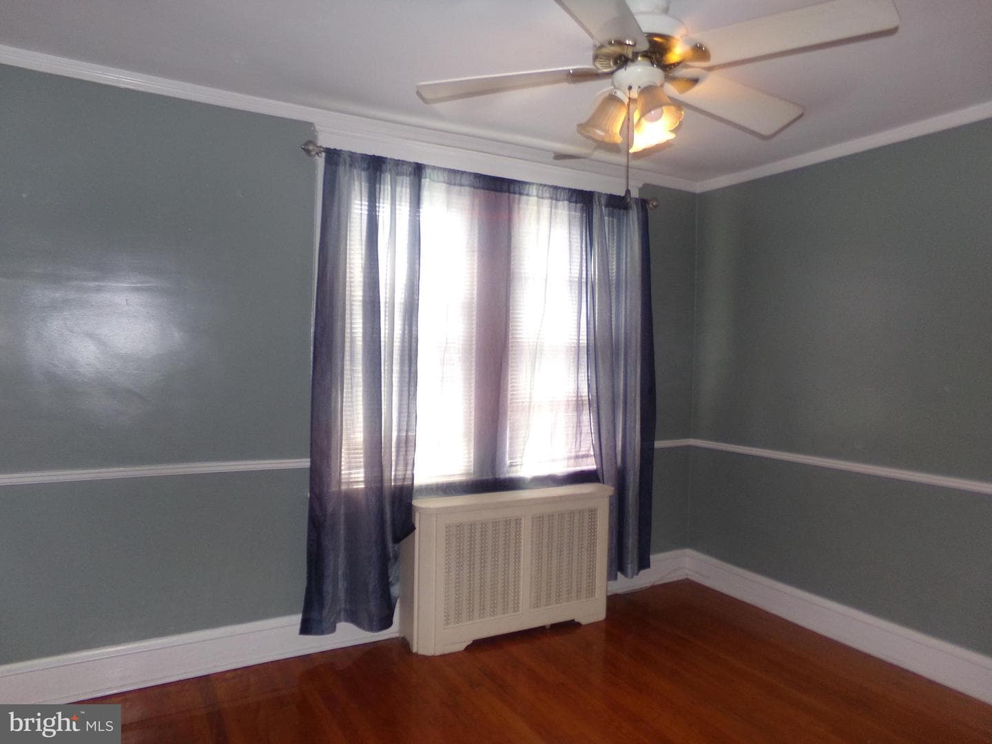 157 W Plumstead Avenue photo 29