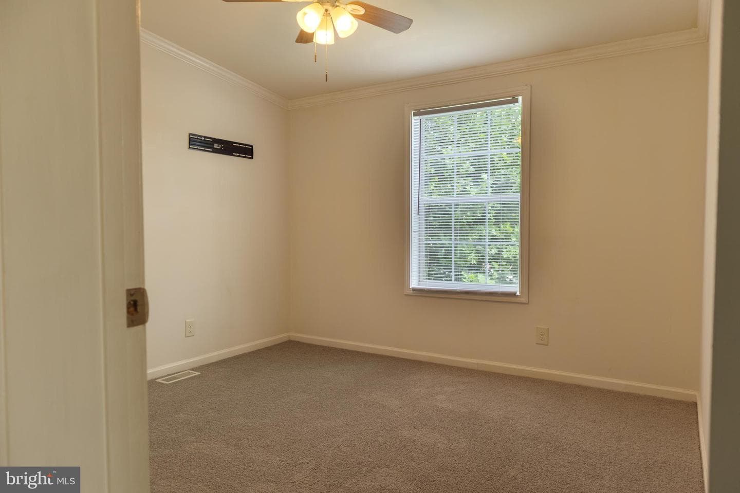216 Park Drive photo 13
