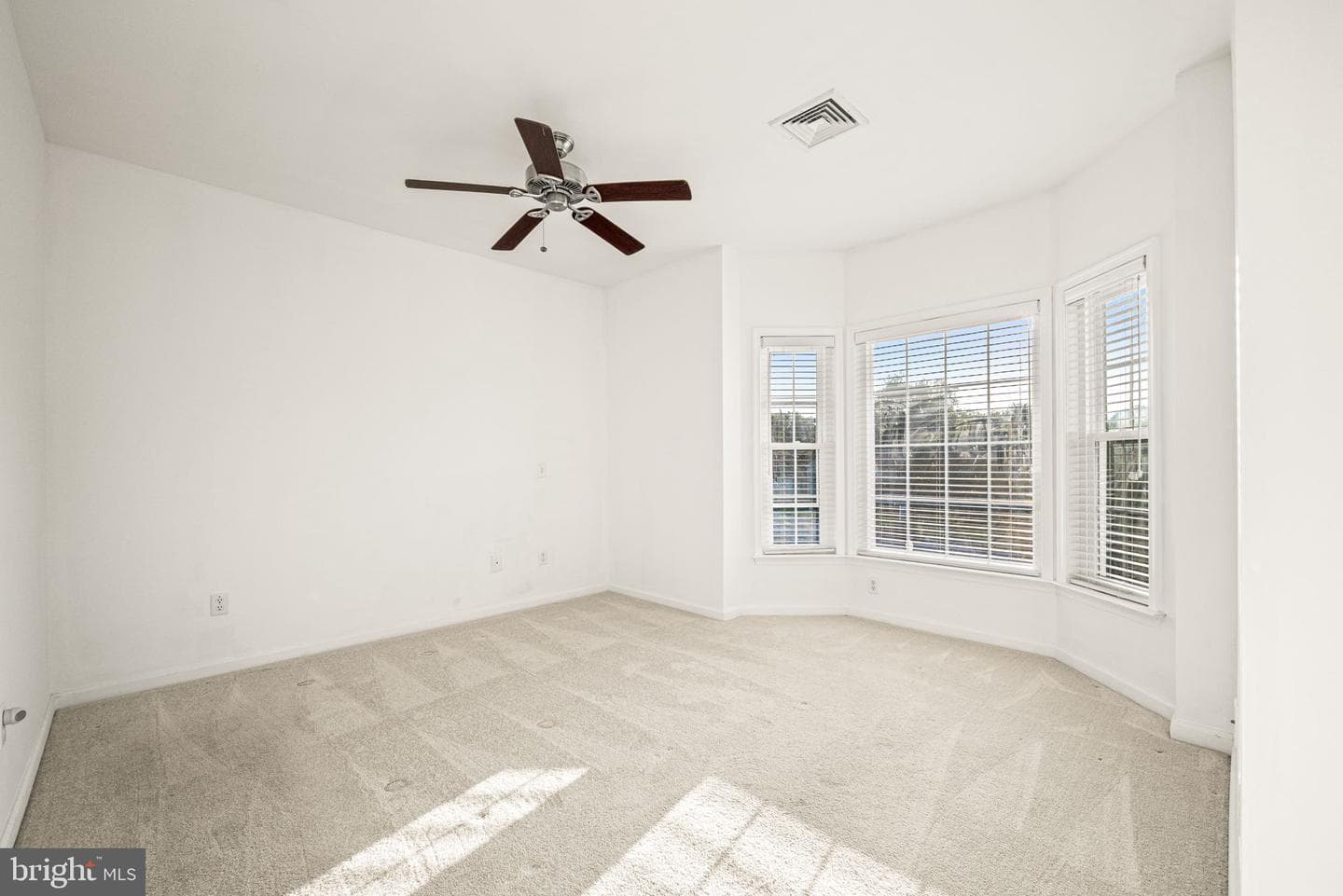 231 Creekside Drive photo 7