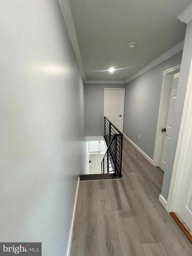 710 Lamokin Street photo 14