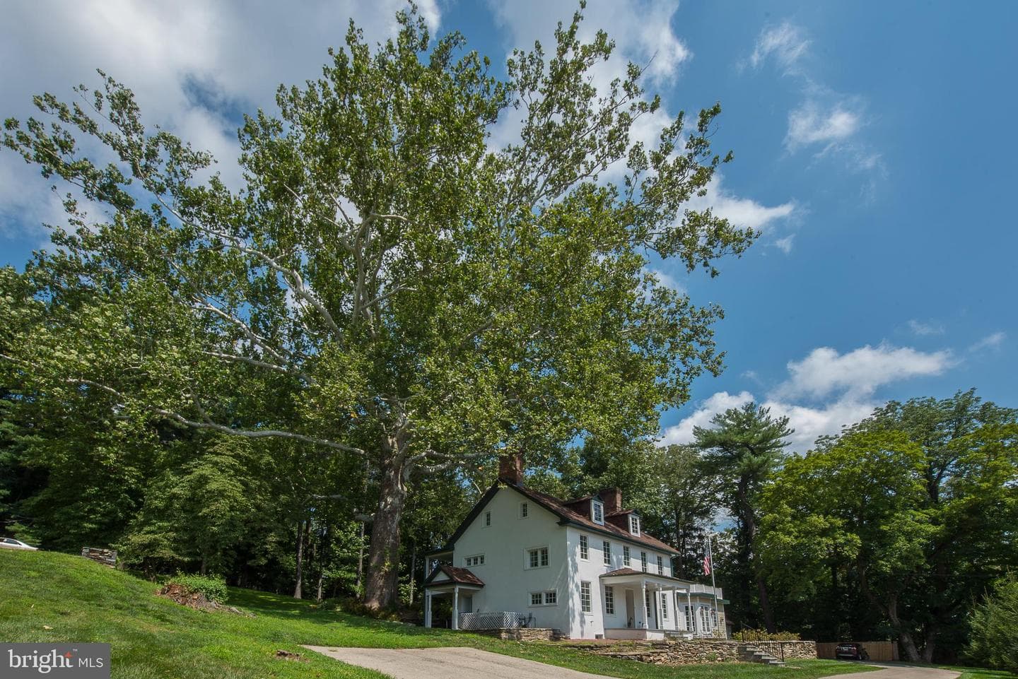 603 Beatty Road photo 2