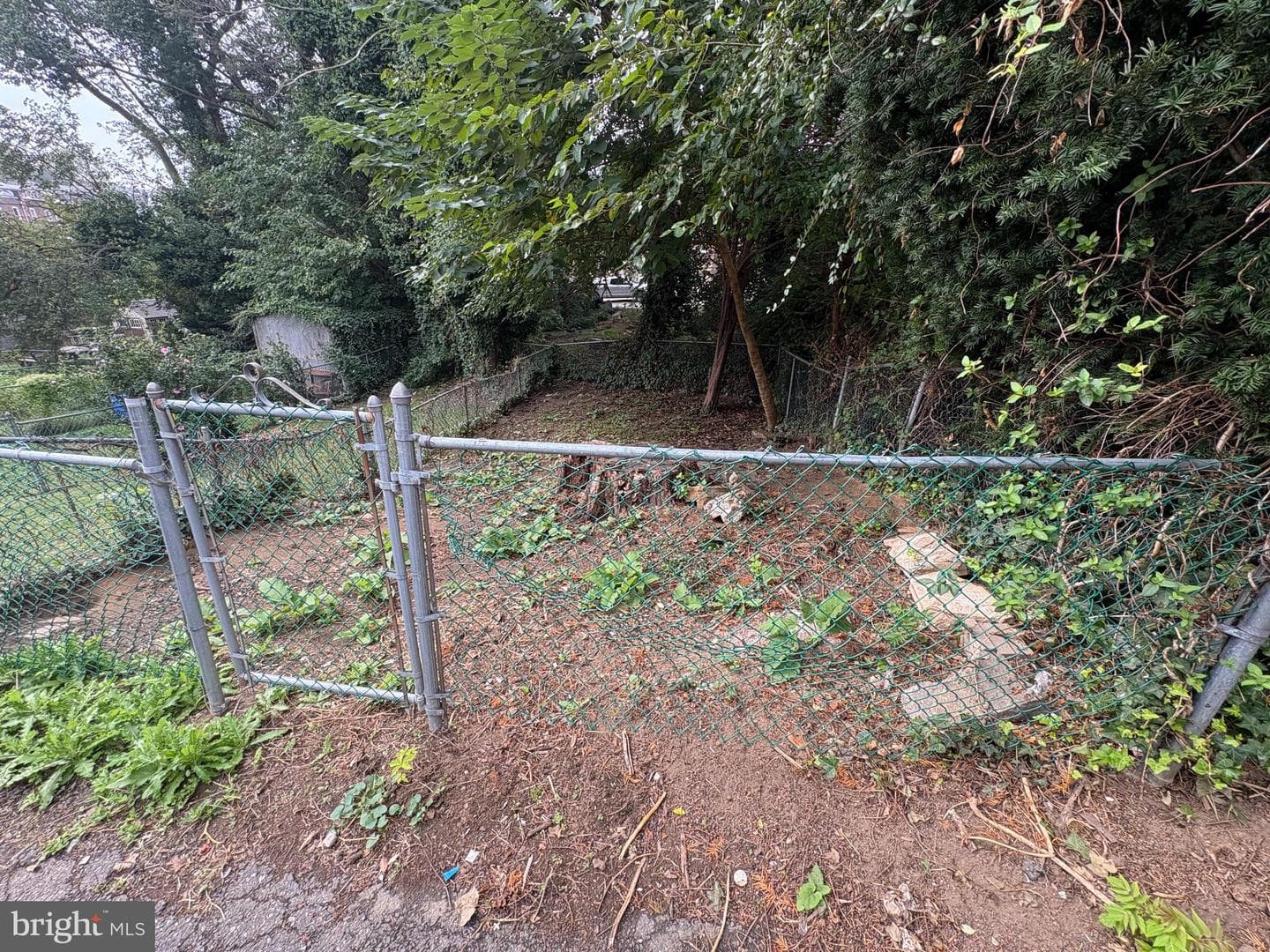 7114 Locust Street photo 20