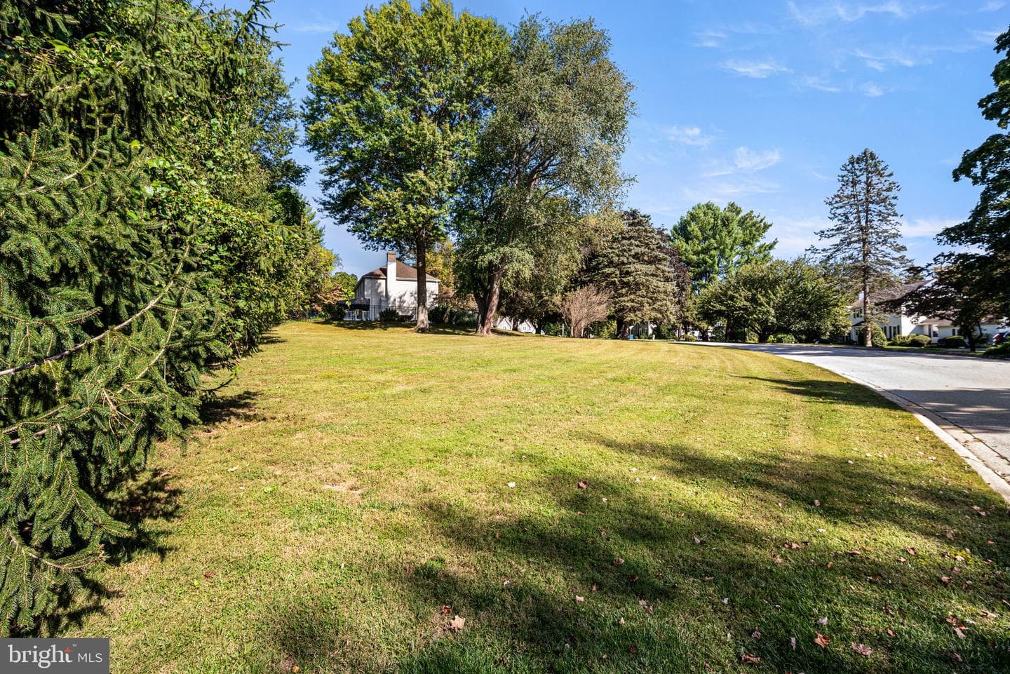 6 Duncan Lane photo 42