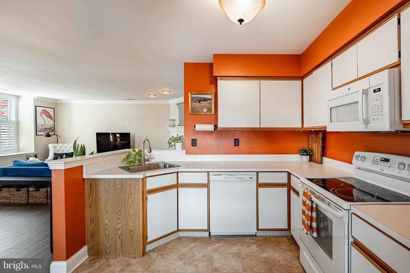 7 Ashley Court photo 17