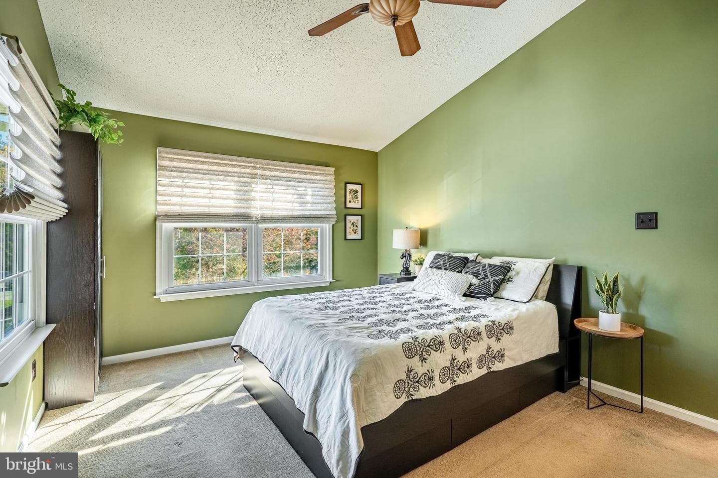 7 Ashley Court photo 19