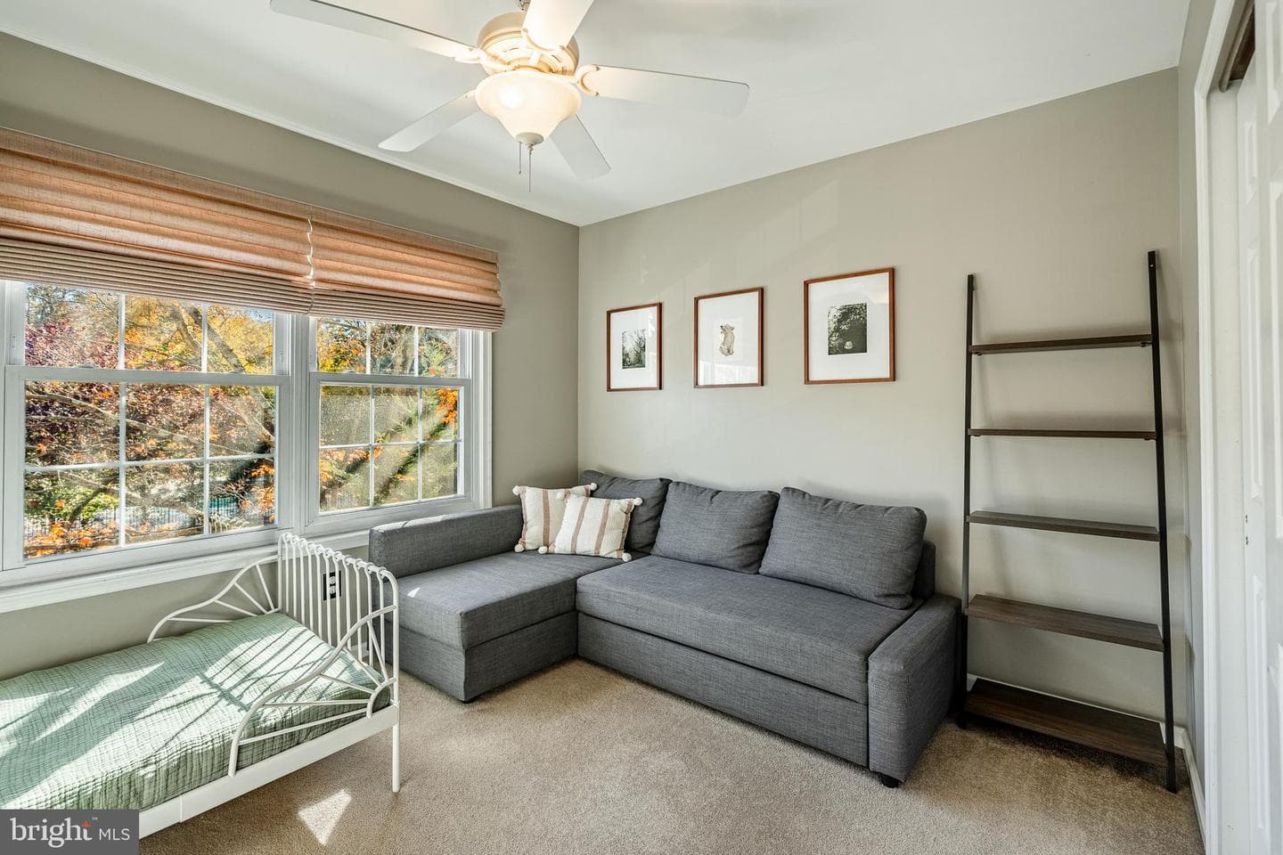 7 Ashley Court photo 25