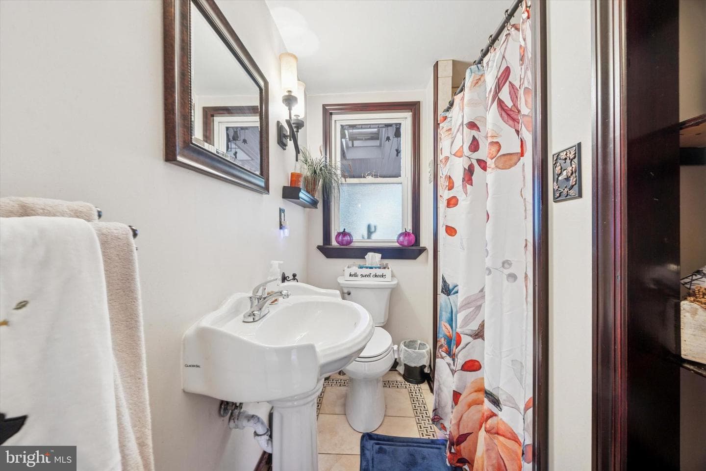 4410 School Lane photo 8