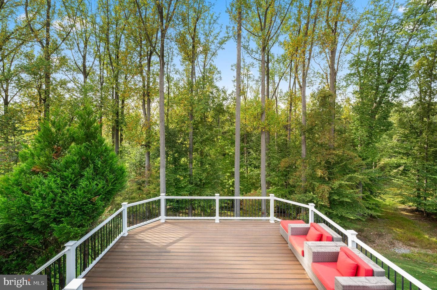 3917 Woodland Drive photo 75