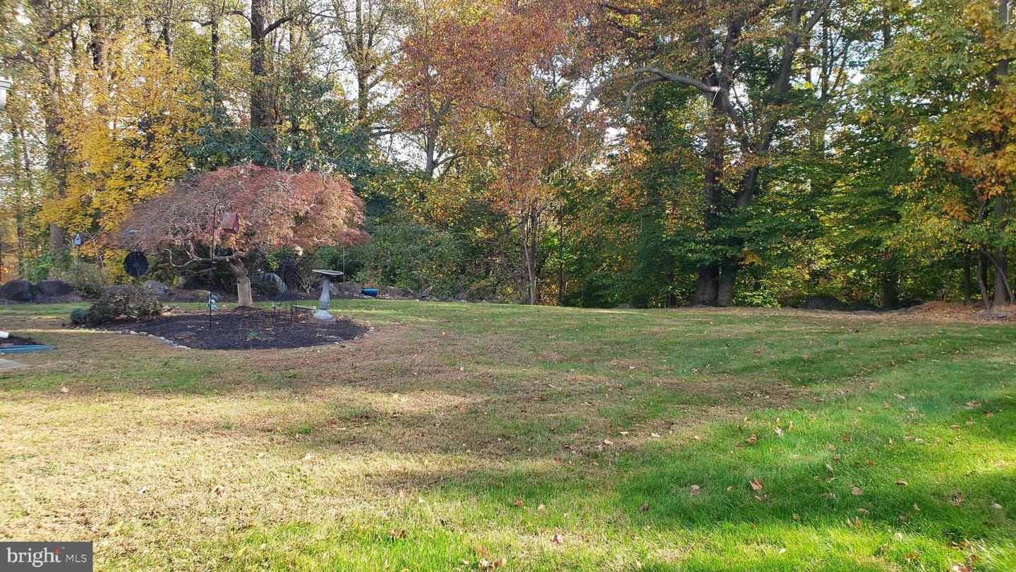 4029 Yorktown Drive photo 3