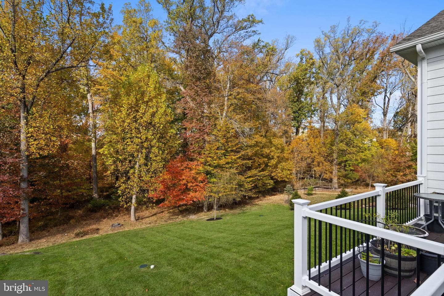 3905 Rockwood Farm Road photo 66