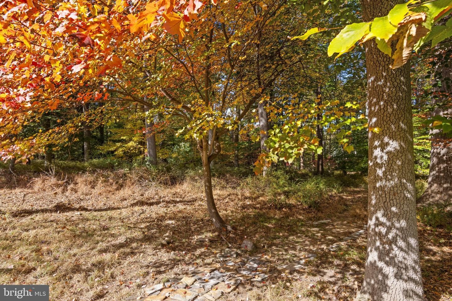 3905 Rockwood Farm Road photo 69