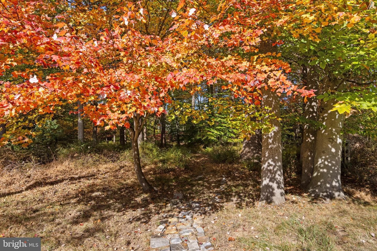 3905 Rockwood Farm Road photo 70