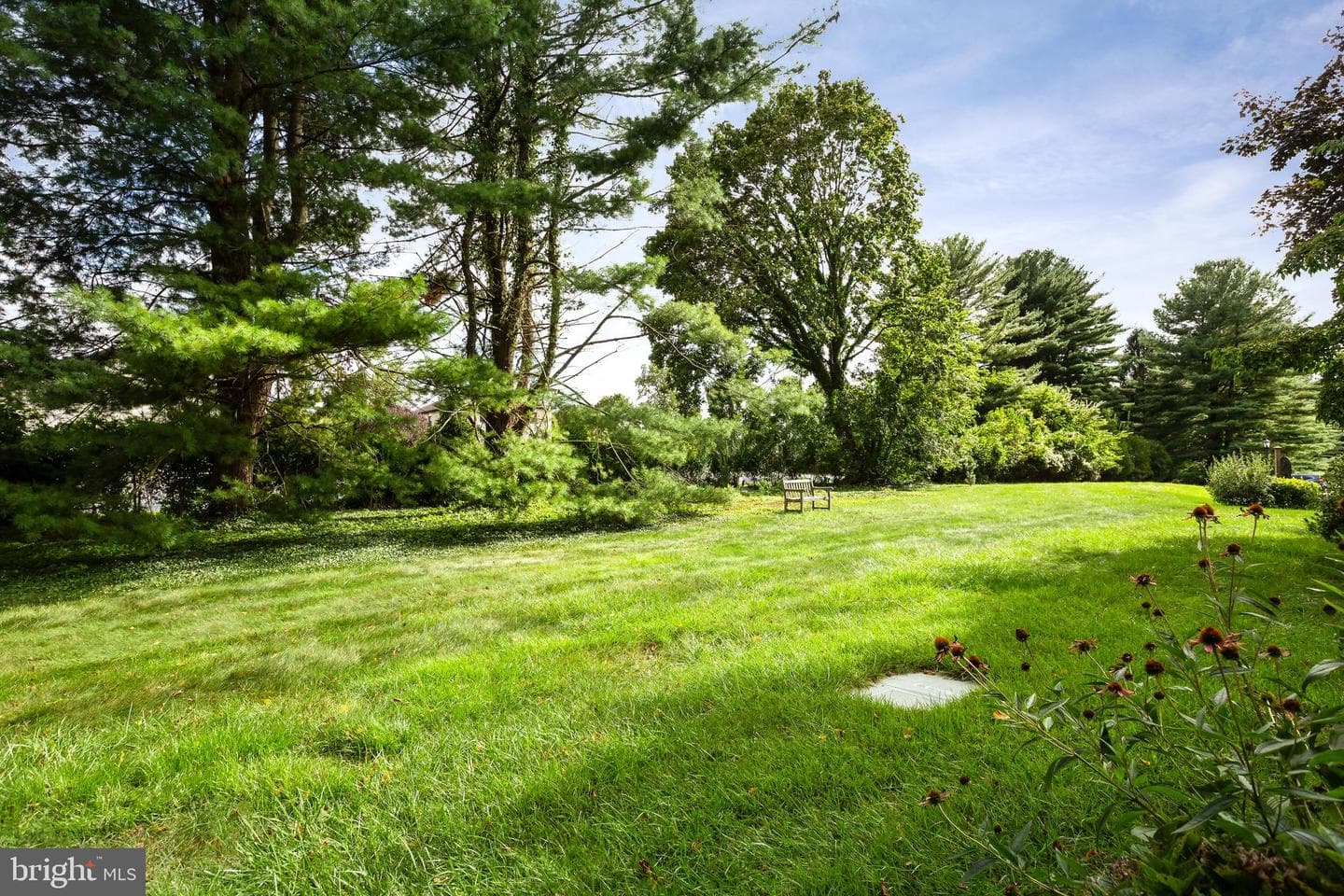 62 Parkridge Drive photo 35