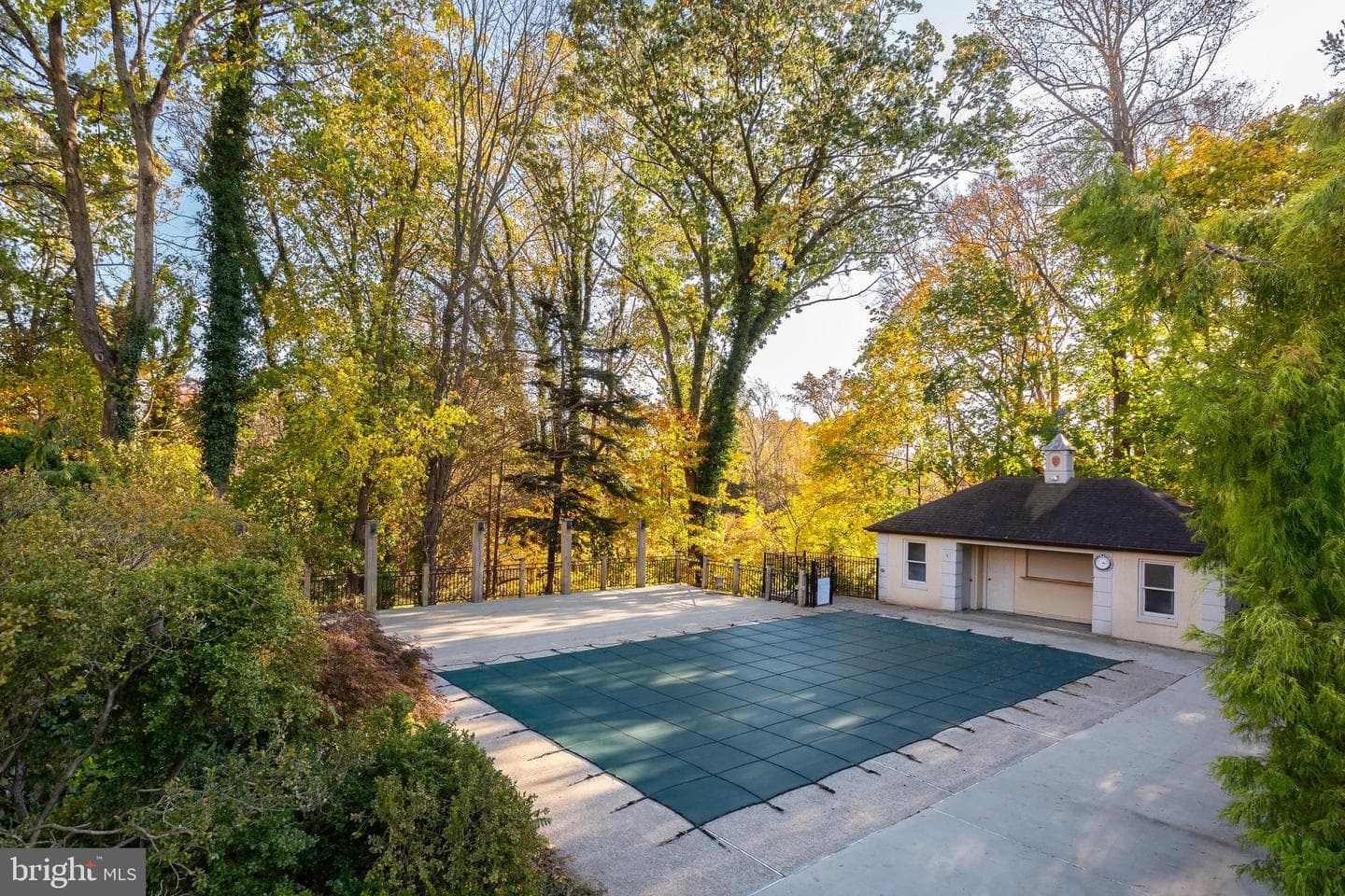 62 Parkridge Drive photo 41