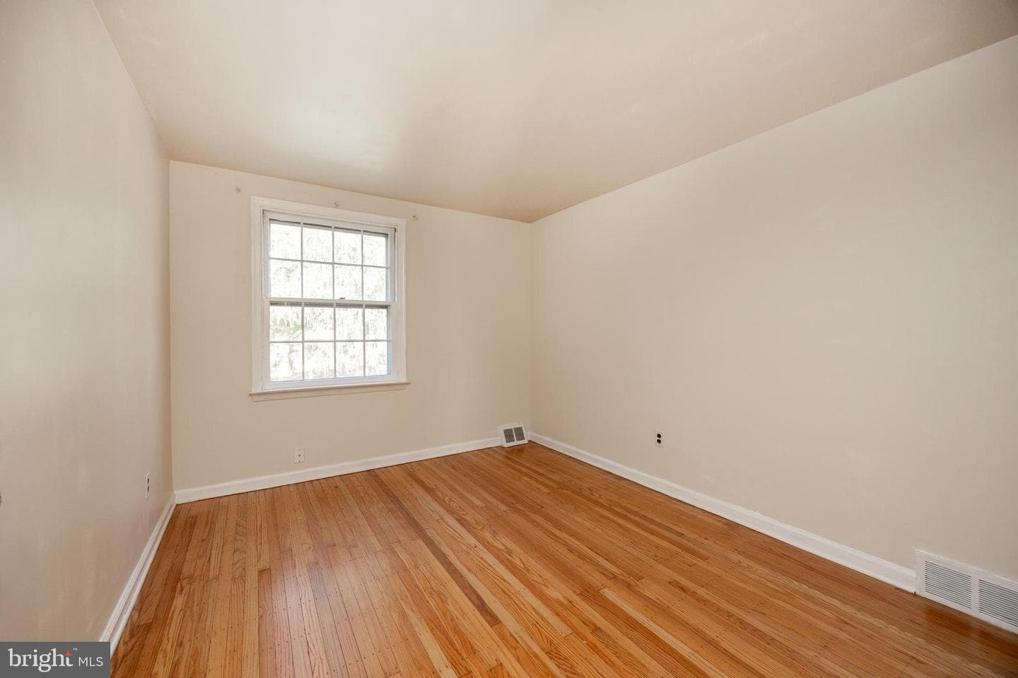 11 Ivy Lane photo 14