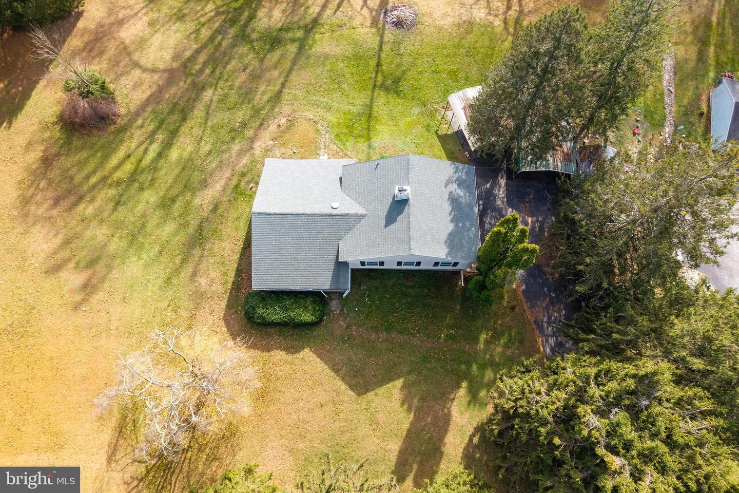 11 Ivy Lane photo 28