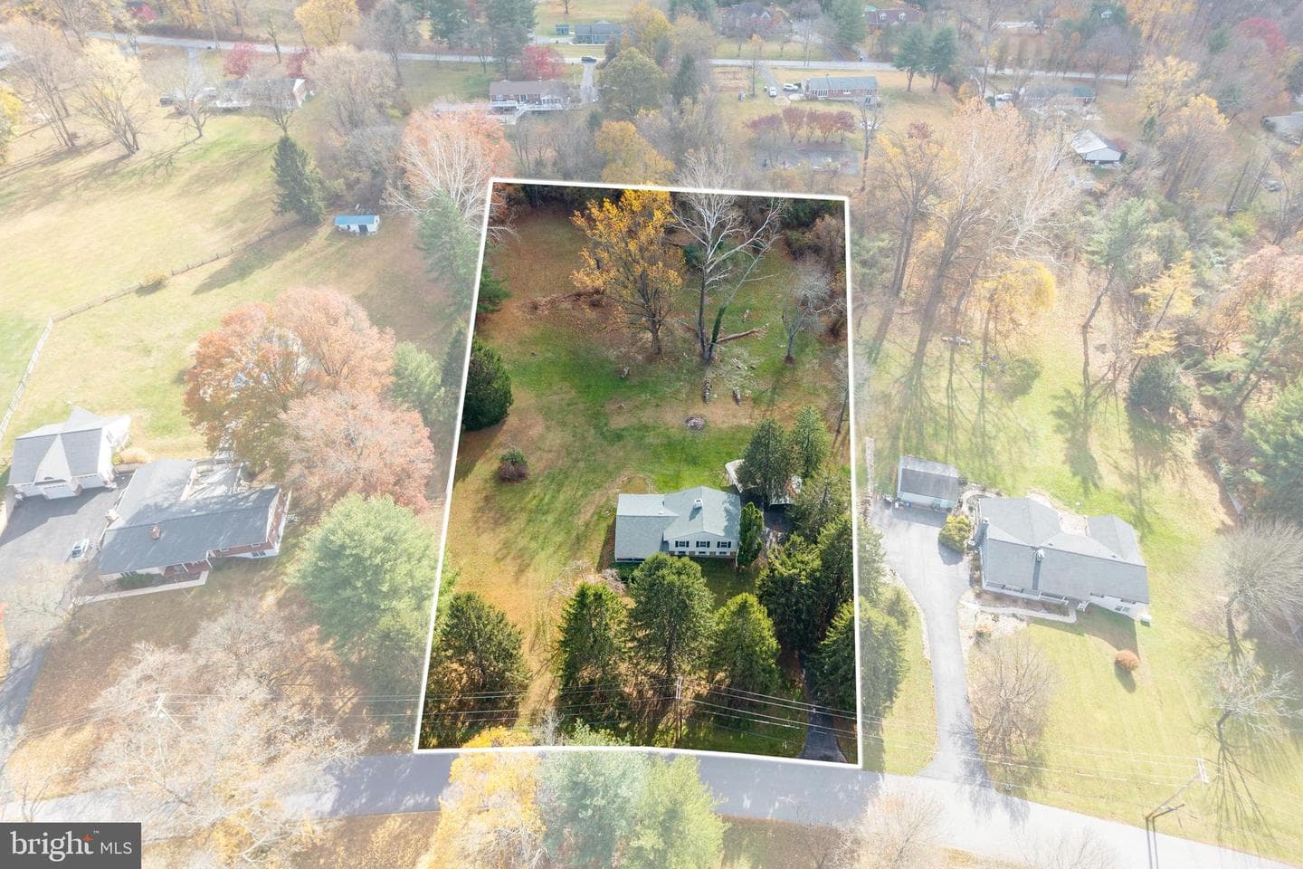 11 Ivy Lane photo 33