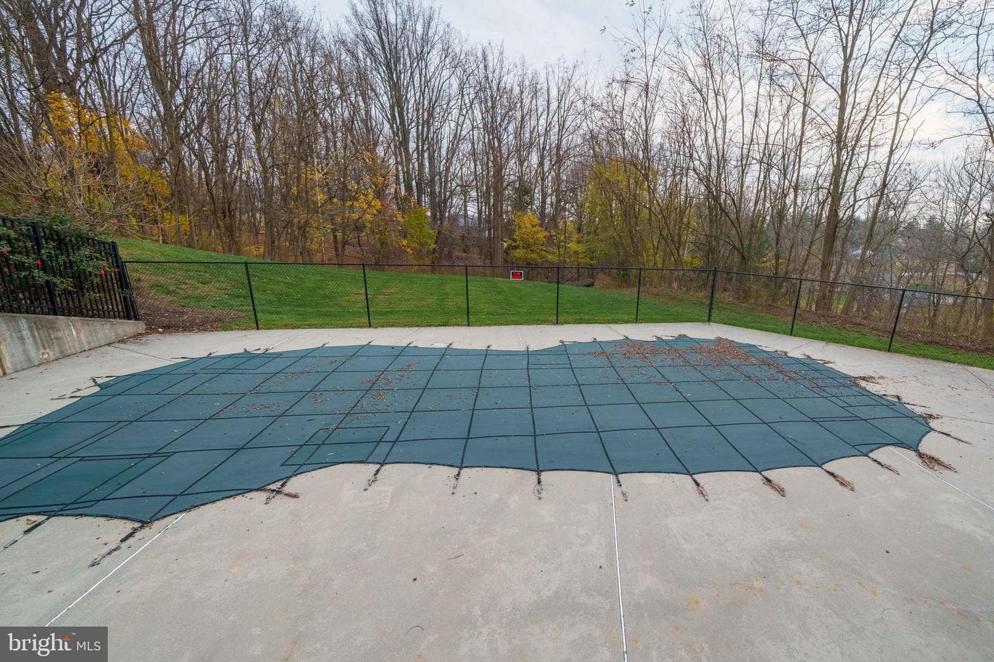 2202 Lydia Hollow Drive #a1 photo 25