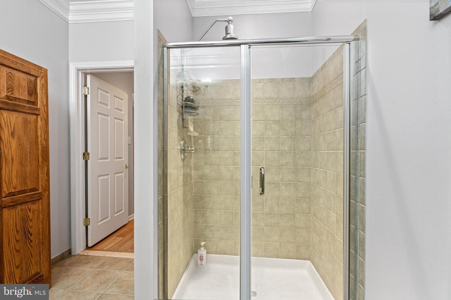 113 Dresner Circle photo 24