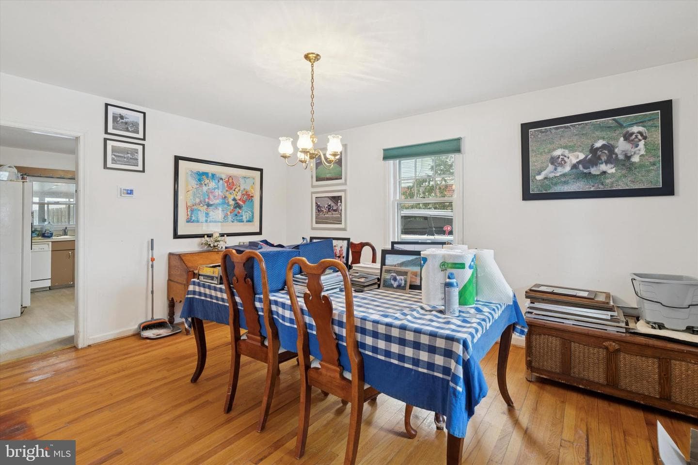 149 Clemson Road photo 8