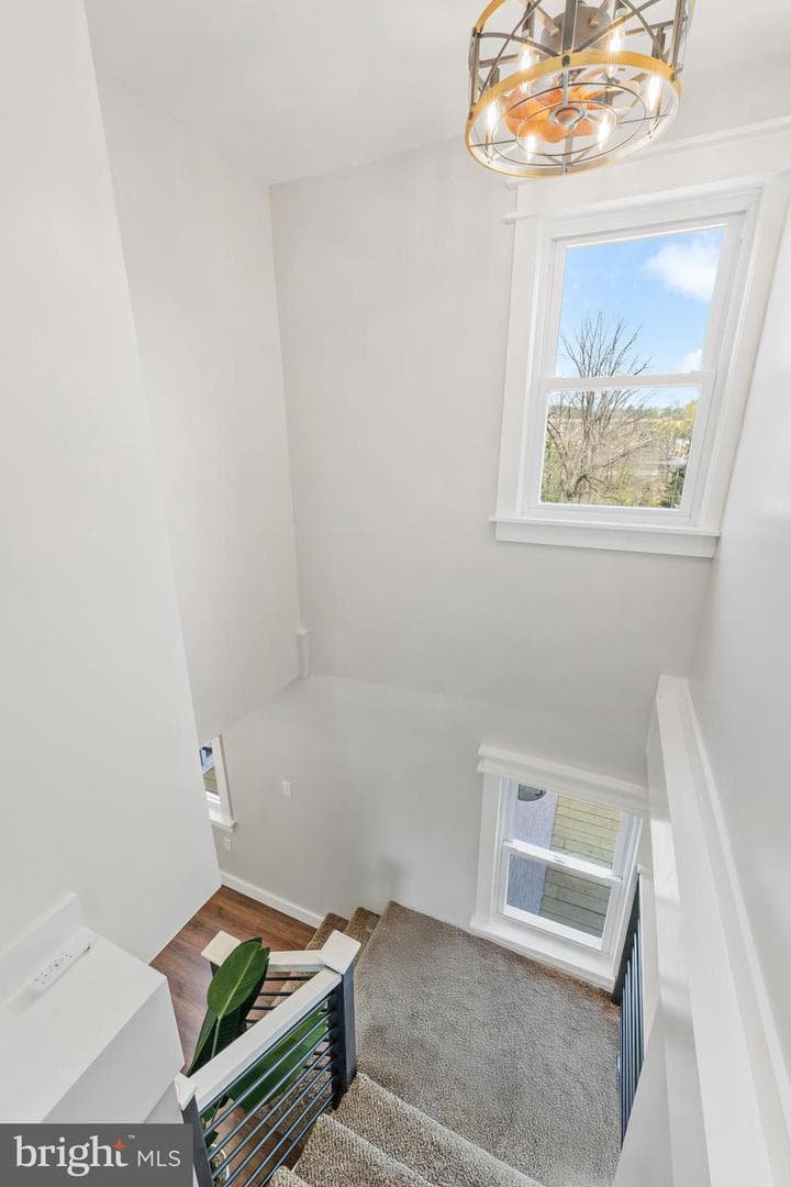 11 Helluva Hill Lane photo 16