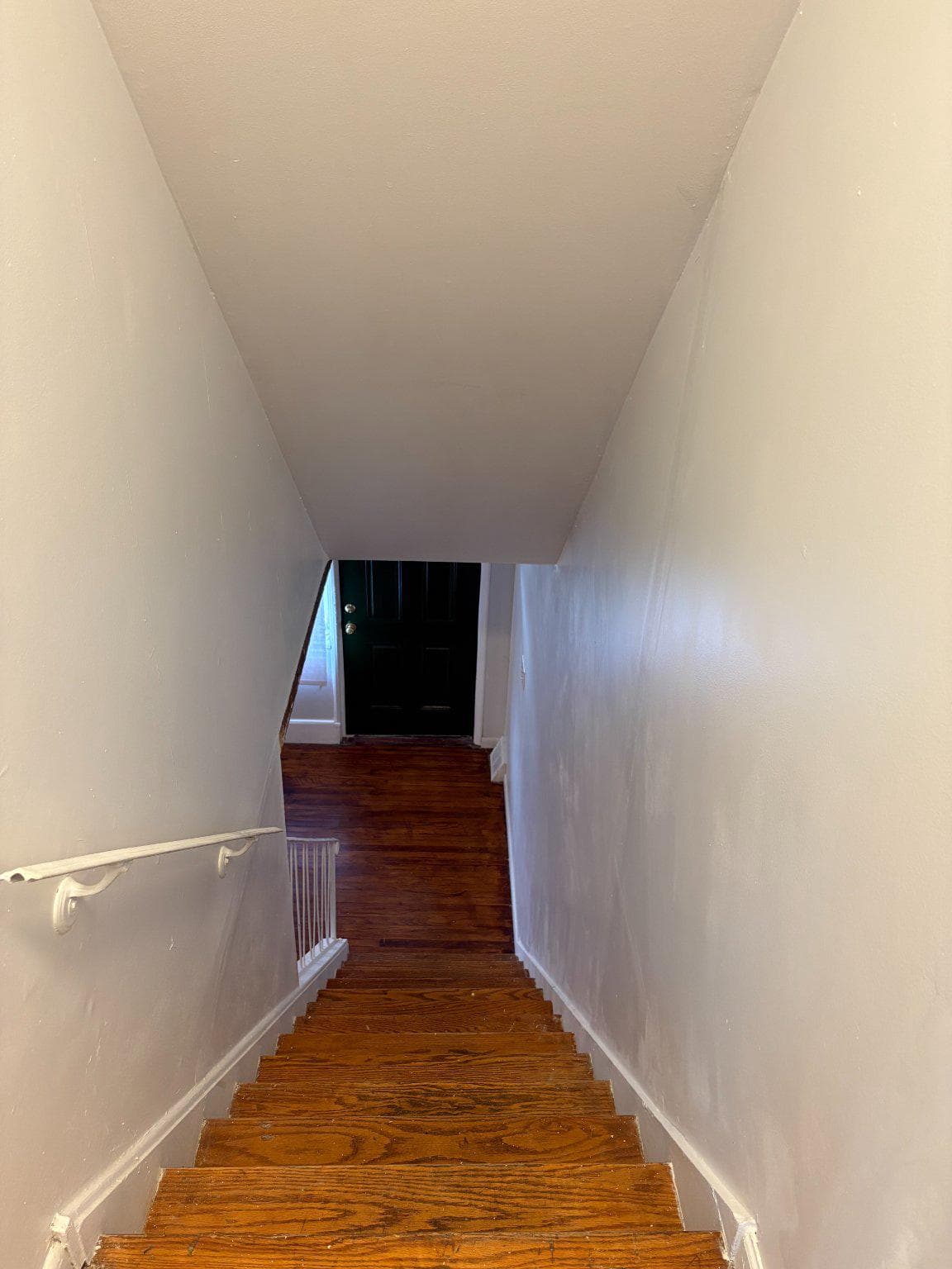 3419 Carter Lane photo 15