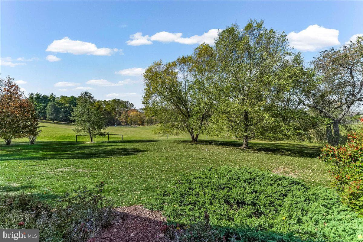411 Webb Road photo 22
