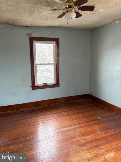 215 Chippewa Street photo 14