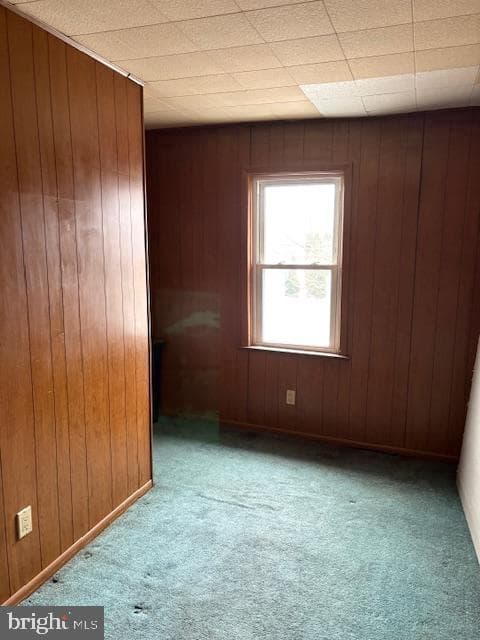 215 Chippewa Street photo 15
