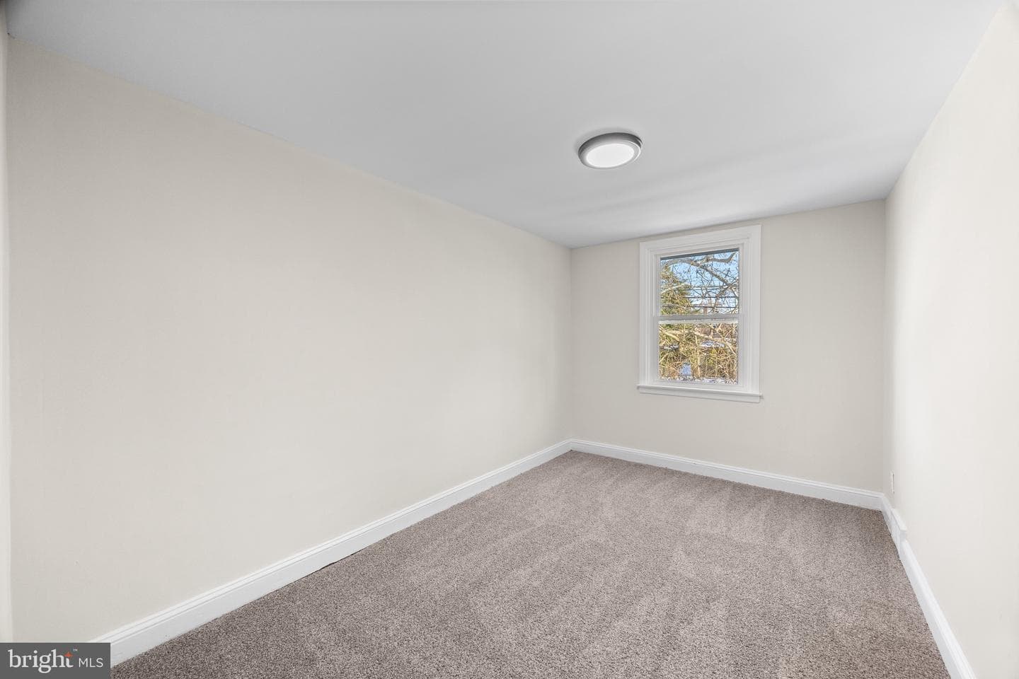 84 Chester Avenue photo 19
